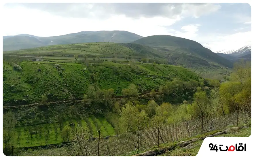 پارک جنگلی خیاوچایی