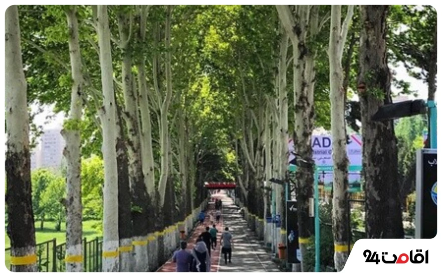 بوستان جهان دیدگان