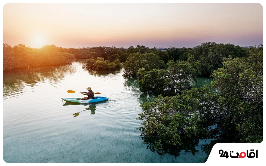 پارک ملی مانگرو ابوظبی