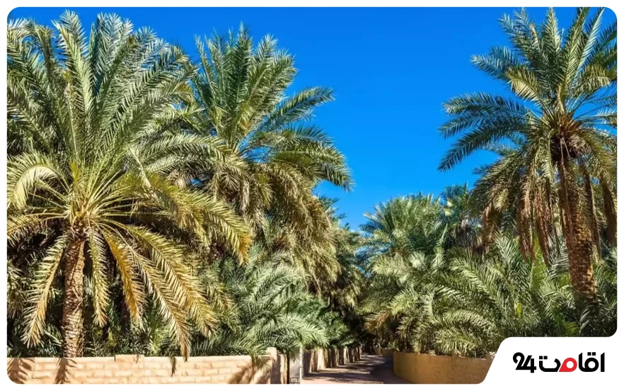 باغ های العین