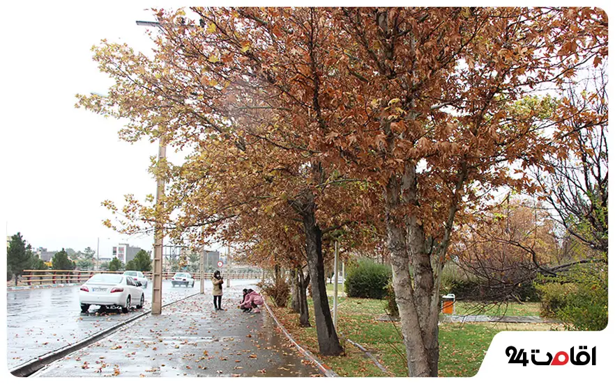 جاهای دیدنی بیرجند در پاییز