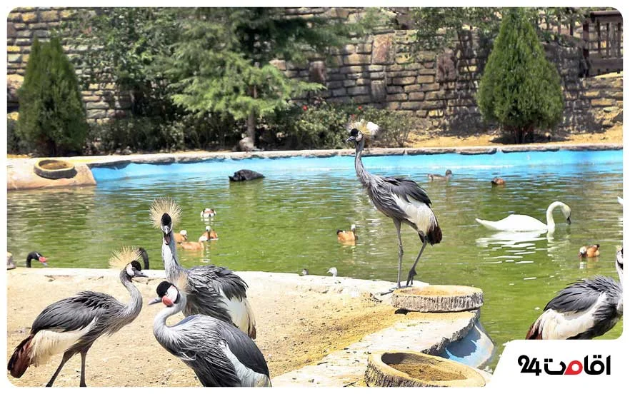 باغ پرندگان برای تفریح و گردش بندرعباس
