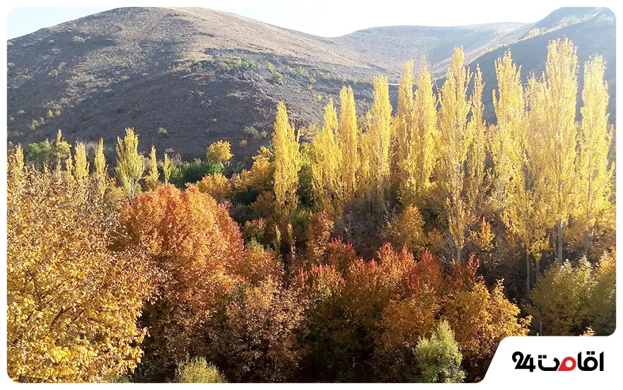 روستای دلبر