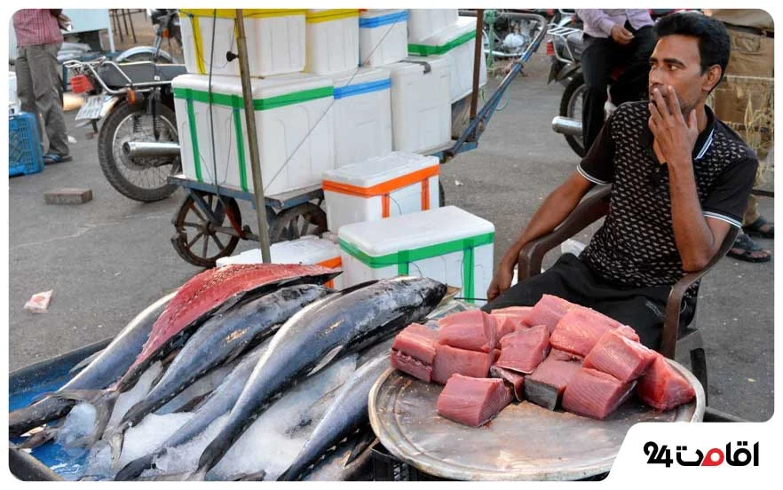 بندر ماهی فروشان در بندرعباس عکس ماهی