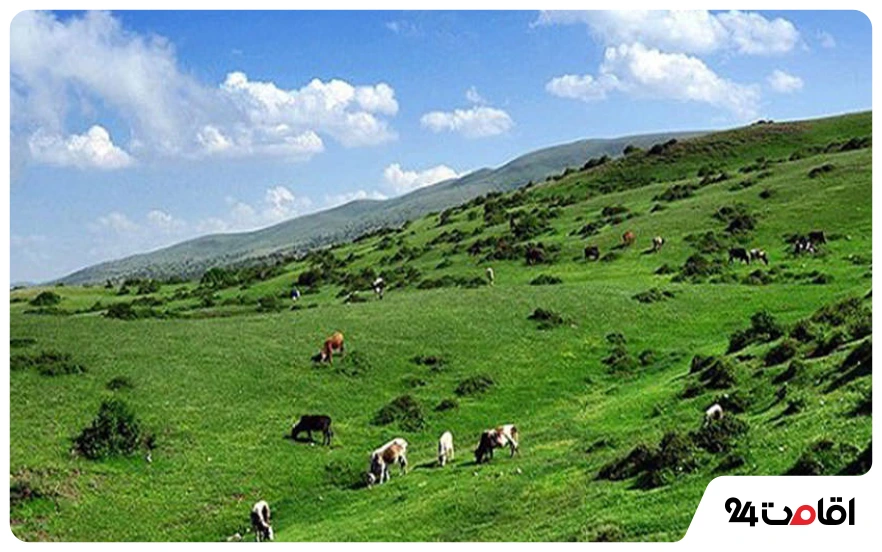 منطقه شکار ممنوع گرزمی