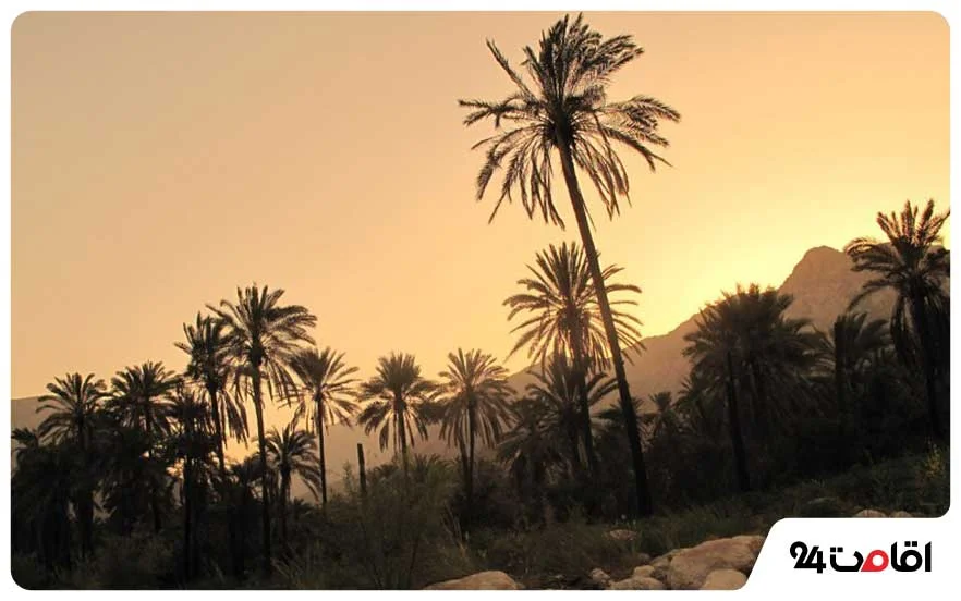 روستای دیدنی و تاریخی هماگ بندرعباس