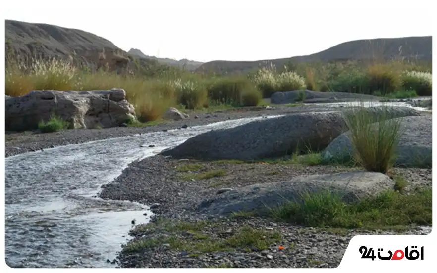 رودخانه لادیز 