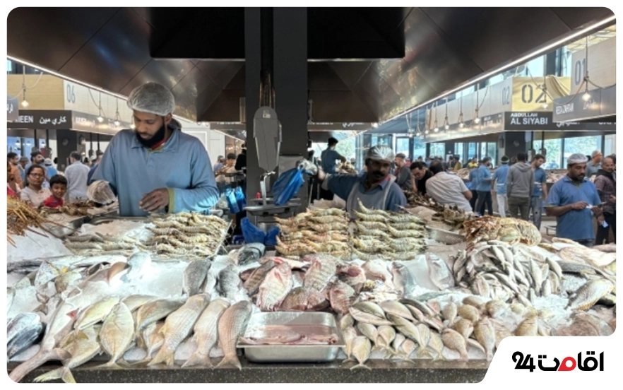 بازار ماهی مینا زاید