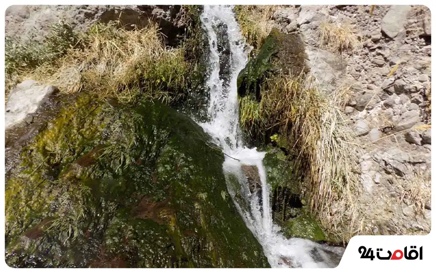 چشمه آب معدنی موسی 