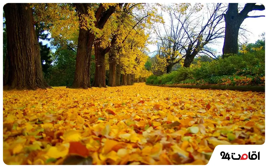 جاهای دیدنی سبزوار در پاییز