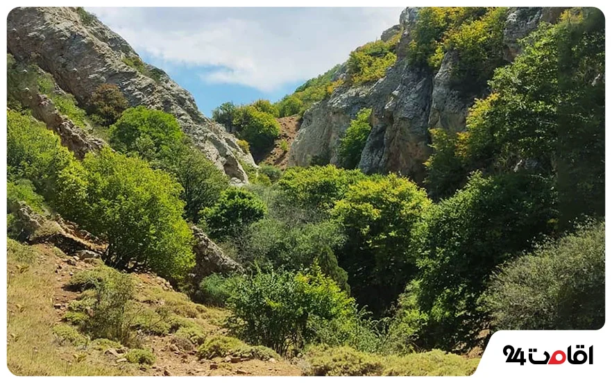 منظره طبیعت دامغان در فصل بهار