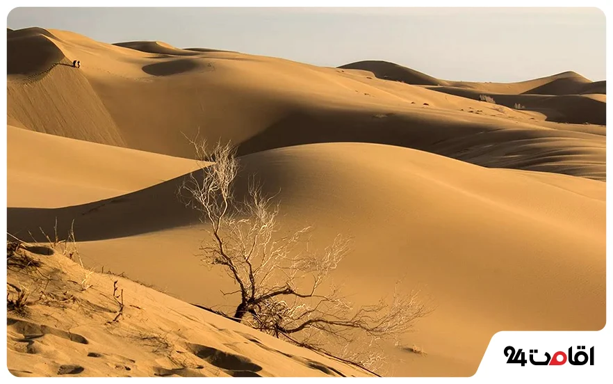 پارک ملی کویر دامغان