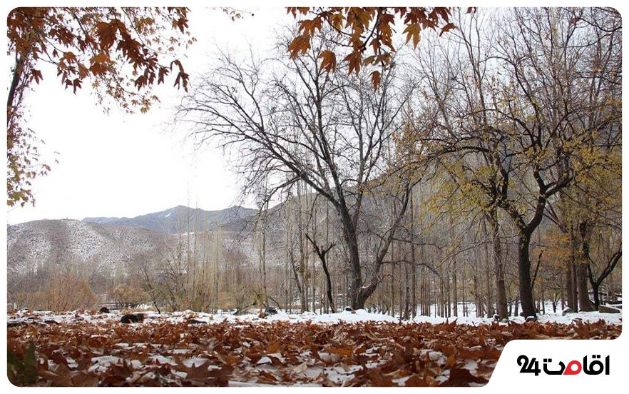 روستای دهبکری بم در پاییز
