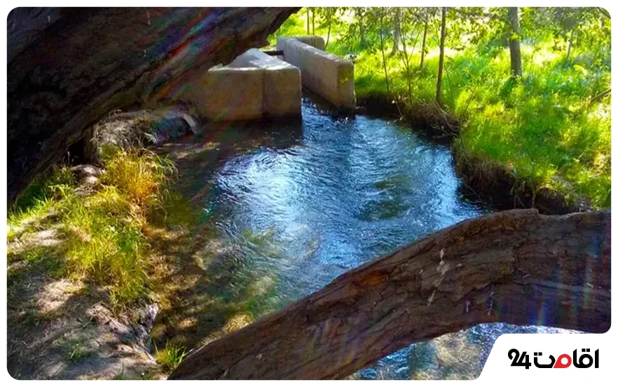 چشمه گیلاس