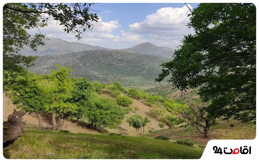 روستای نژو