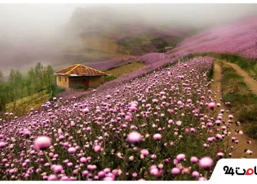 Places to visit in Gilan for camping in the forest