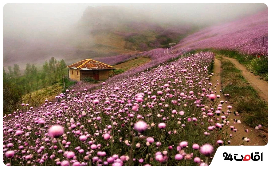 ۱۰ جای دیدنی گیلان برای کمپینگ در جنگل، ساحل و ییلاق