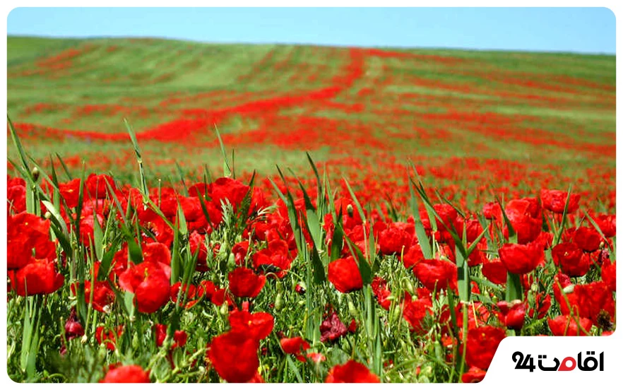 طبیعت جاهای دیدنی گیلان برای کمپینگ در بهار