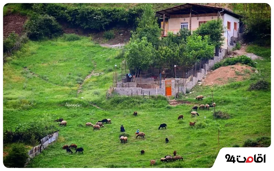 روستای زیارت