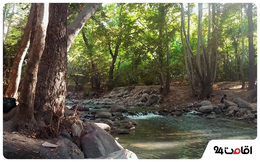 طبیعت سرسبز روستای برغان