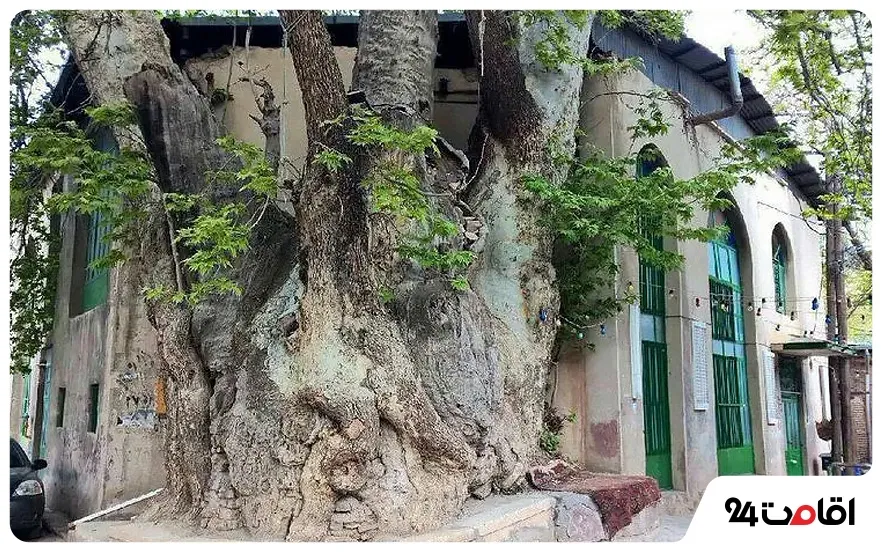 جاهای دیدنی و تفریحی روستای برغان
