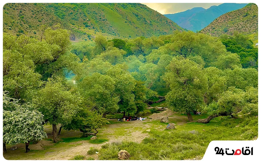 بهترین زمان سفر به ارومیه؛ چه موقعی به ارومیه سفر کنیم بهتر است؟ 2 ارومیه در فصل بهار