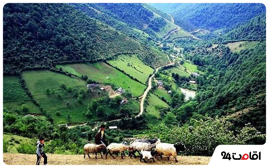 ییلاق شکردشت؛ عروس زیبای تالش را بشناسید!