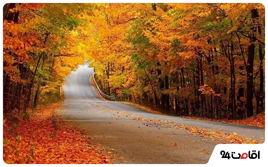 جاهای دیدنی گلستان؛ 130 تا از مکان های دیدنی، تاریخی و تفریحی گلستان با عکس و آدرس 61 جنگل النگدره گرگان