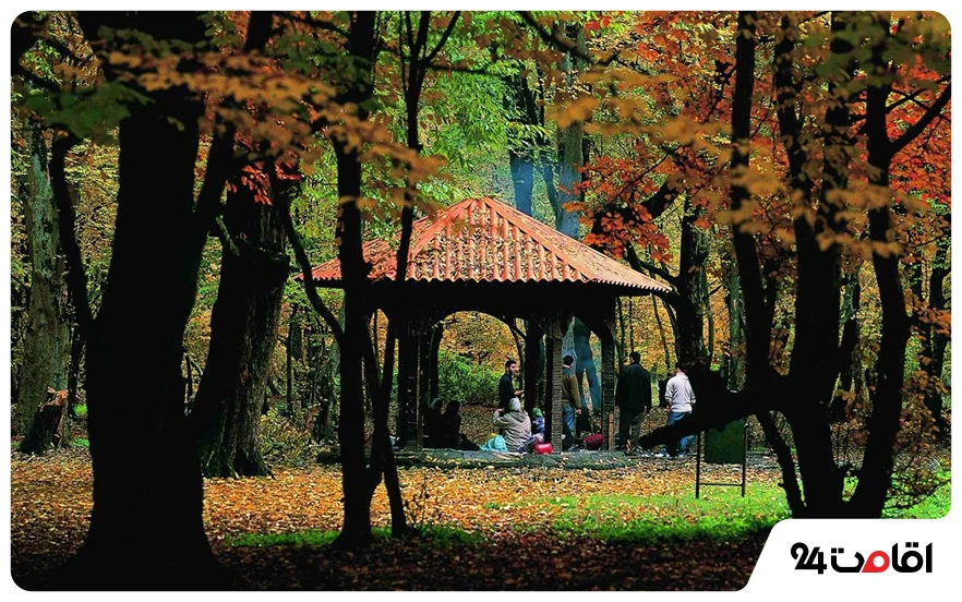جاهای دیدنی گلستان؛ 130 تا از مکان های دیدنی، تاریخی و تفریحی گلستان با عکس و آدرس 64 جنگل ناهارخوران گرگان
