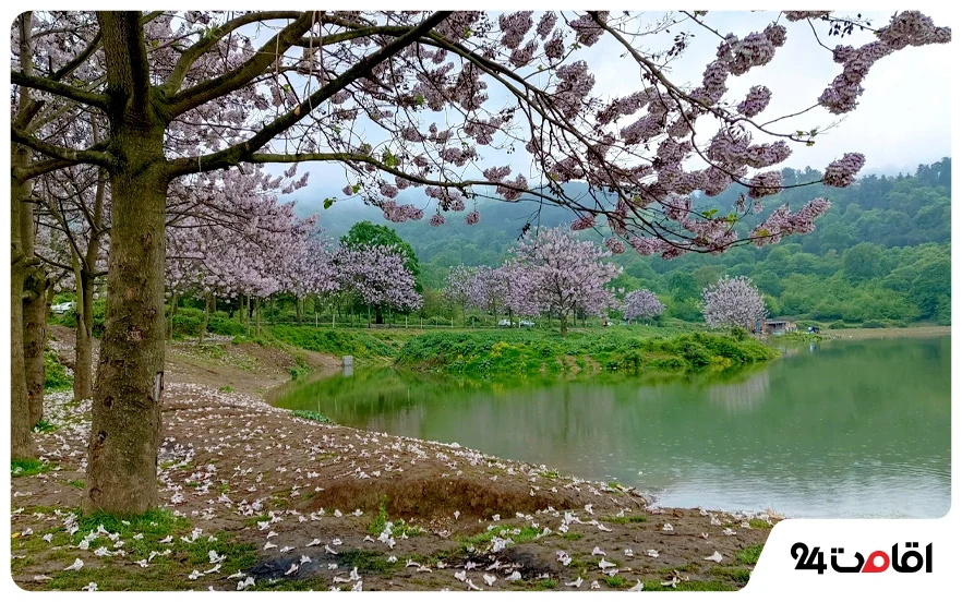 جاهای دیدنی گلستان؛ 130 تا از مکان های دیدنی، تاریخی و تفریحی گلستان با عکس و آدرس 5 دریاچه توشن گرگان