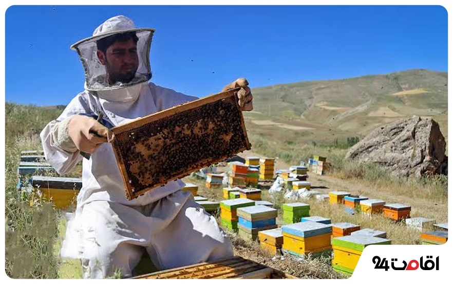 عسل سبلان؛ یکی از معروف‌ترین سوغات اردبیل