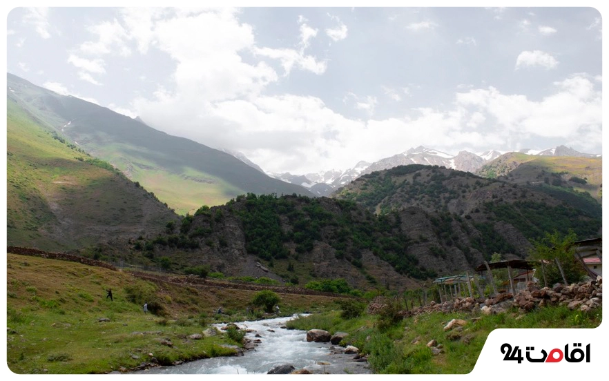 روستای دلیر؛ جاذبه خاص چالوس را بهتر بشناسید! 6 جنگل روستای دلیر و پوشش گیاهی آن