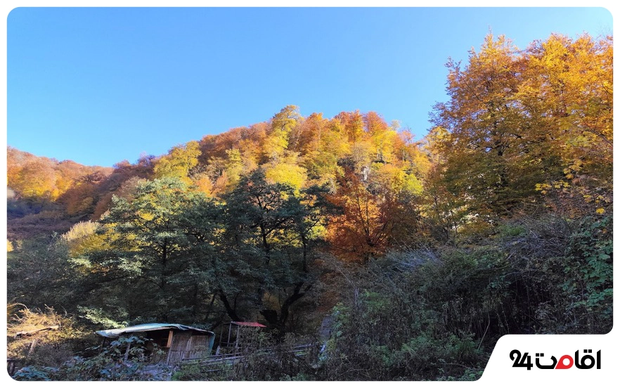روستای زیارت در فصل پاییز