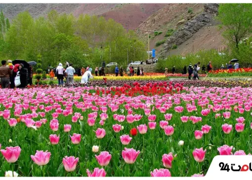 شهر محلات در بهار