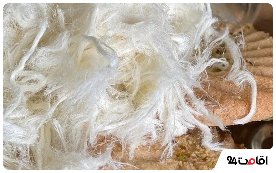 سوغات کاشان چیست؟ از گلاب و شیرینی تا صنایع دستی 4 پشمک کاشان