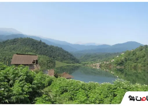 جنگل لفور سوادکوه