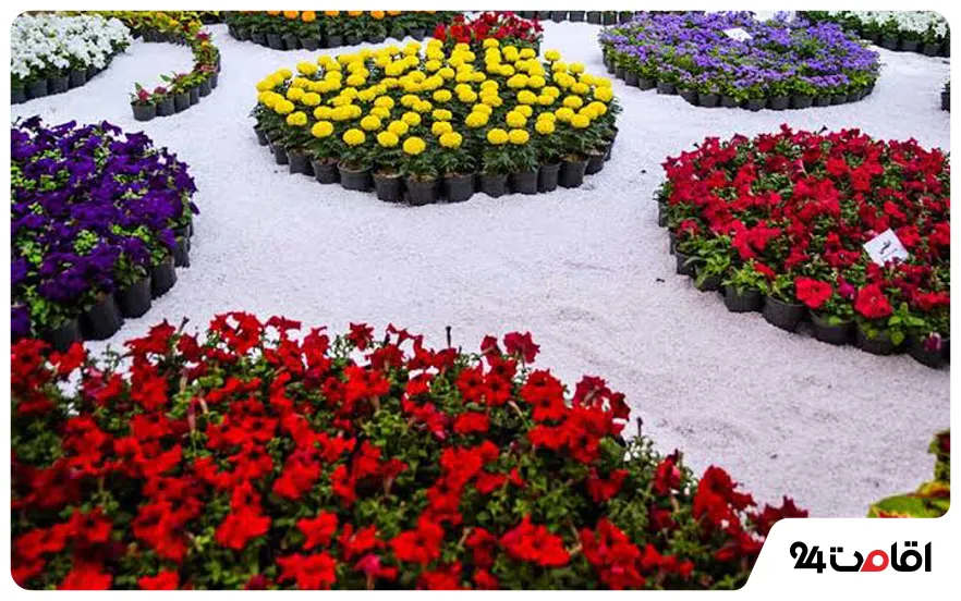دهکده گل محلات