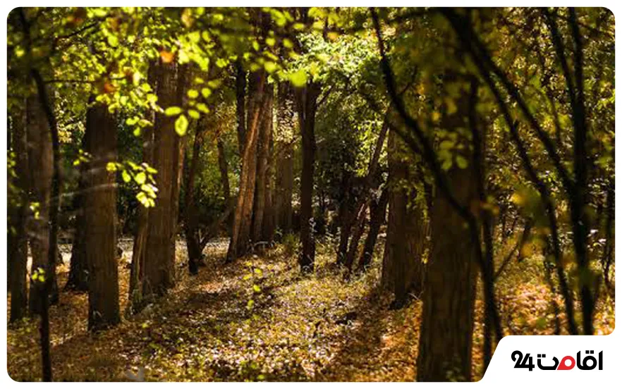 جاهای دیدنی استان مرکزی در پاییز