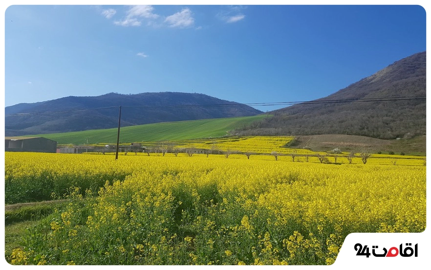 پارک ملی گلستان؛ نخستین و قدیمیترین پارک ملی ثبتشده ایران 4 زیباییهای طبیعی جنگل گلستان
