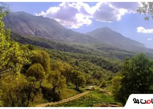 جنگل پاسند مازندران