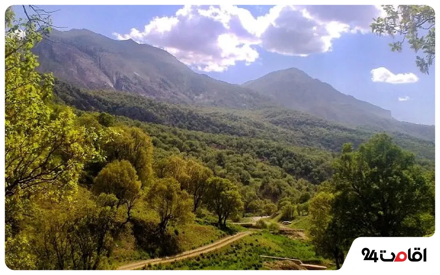 جنگل پاسند مازندران