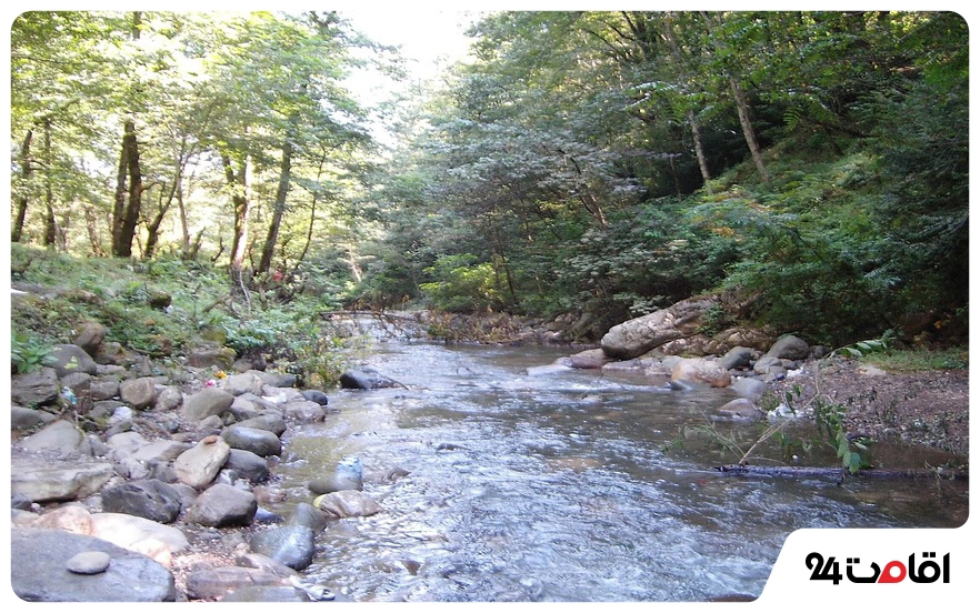 رودخانه نزدیک آبشار لونک