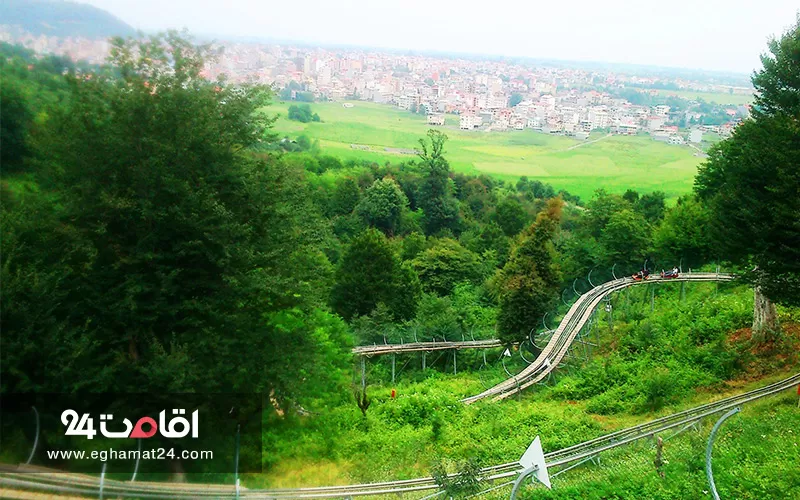 پارک جنگلی سیاه داران