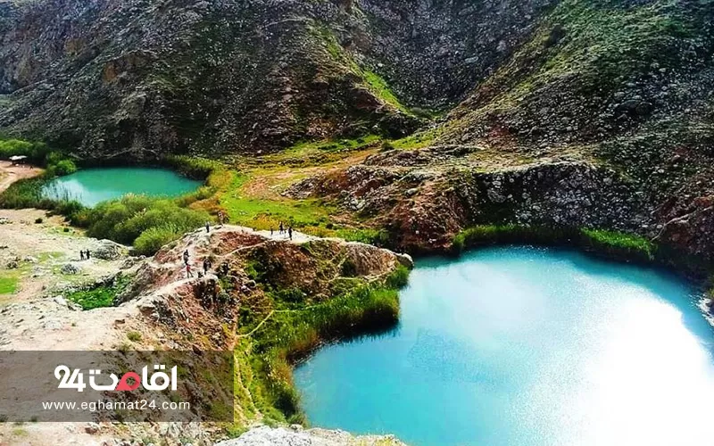 سیاه گاو