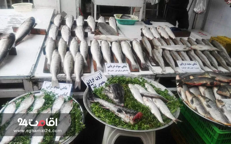 بازار ماهی فروشان رامسر