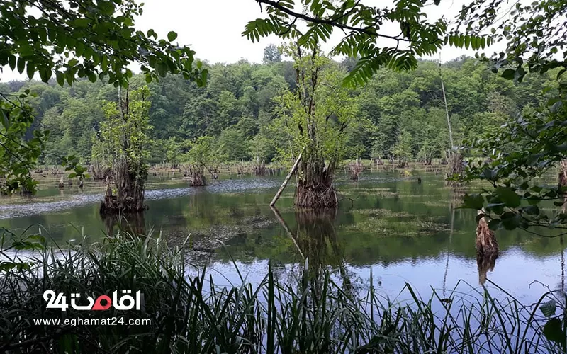  دریاچه ممرز