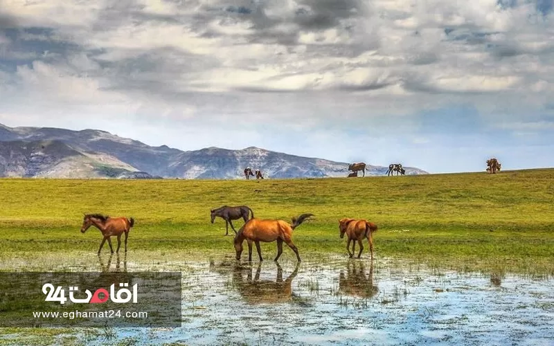 سوباتان