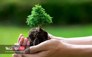 قوانین طبیعت گردی