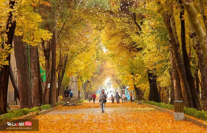 چهارباغ عباسی
