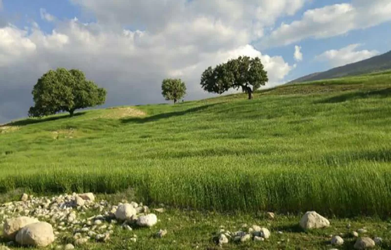6 3